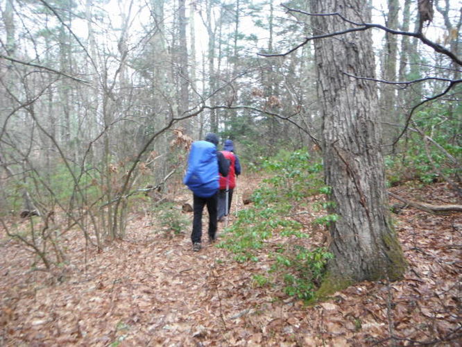 Picture 20 of Shenandoah Mountain Hike 042813
