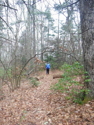 Picture 21 of Shenandoah Mountain Hike 042813