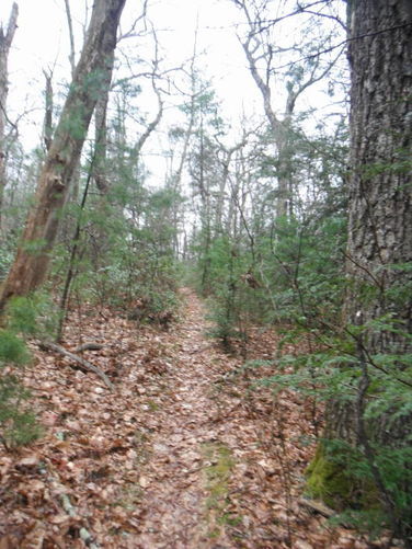 Picture 22 of Shenandoah Mountain Hike 042813
