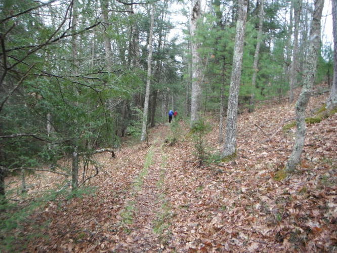 Picture 24 of Shenandoah Mountain Hike 042813