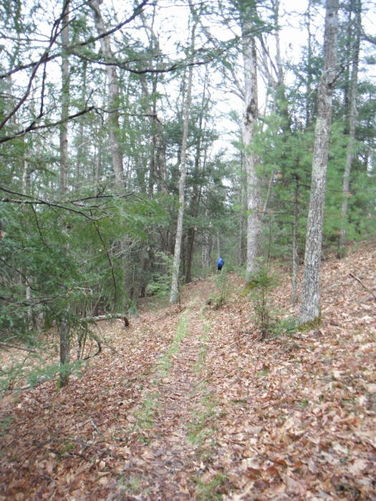 Picture 11 of Shenandoah Mountain Hike 042813