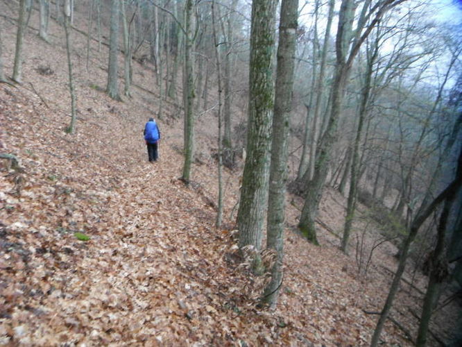 Picture 13 of Shenandoah Mountain Hike 042813