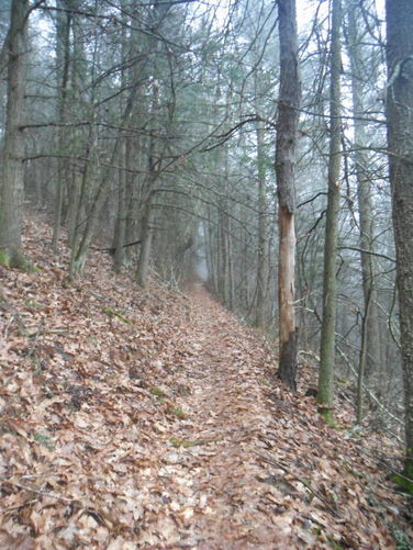 Picture 15 of Shenandoah Mountain Hike 042813