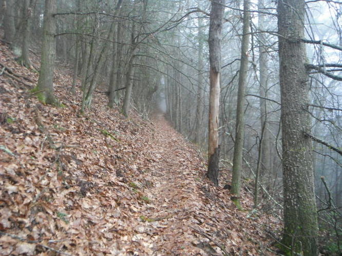 Picture 16 of Shenandoah Mountain Hike 042813