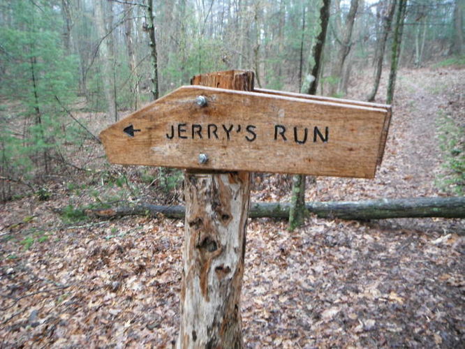 Picture 3 of Shenandoah Mountain Hike 042813