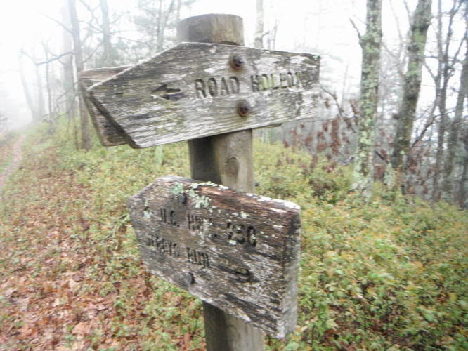 Picture 4 of Shenandoah Mountain Hike 042813