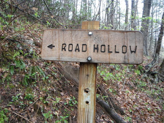 Picture 5 of Shenandoah Mountain Hike 042813