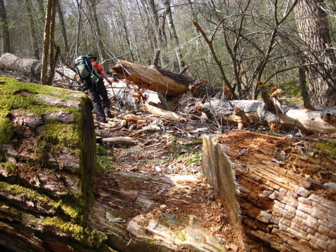 Picture 2 of Shenandoah Mountain Hike 042813
