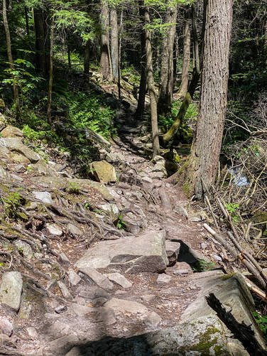 Rocky trail climb up the Bald Knob Ridge Trail