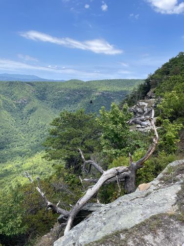 View / Overlook / Vista