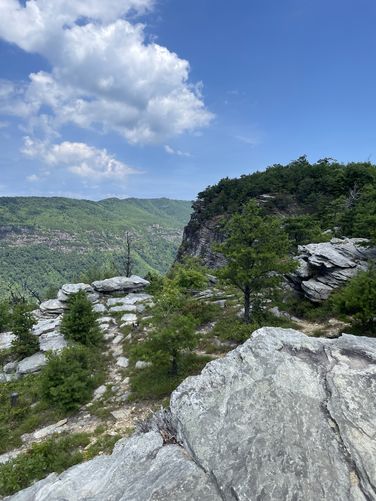 View / Overlook / Vista