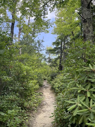 Picture 10 of Shortoff Trail