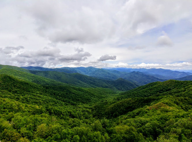 Picture 31 of Shuckstack Lookout Tower Hike