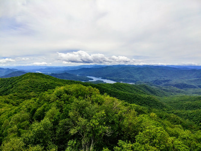 Picture 30 of Shuckstack Lookout Tower Hike