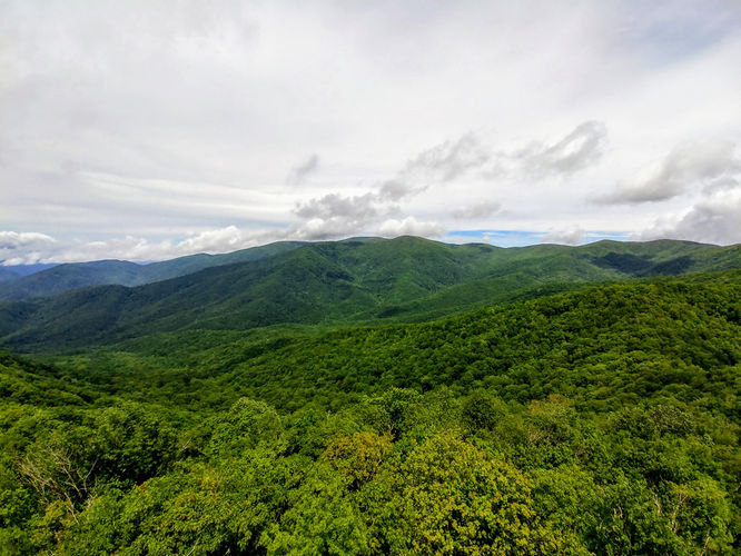 Picture 28 of Shuckstack Lookout Tower Hike