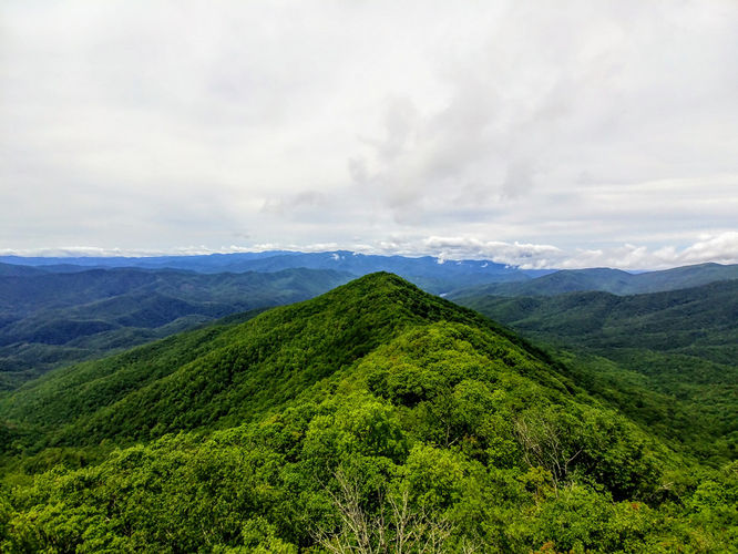 Picture 27 of Shuckstack Lookout Tower Hike