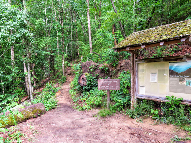 Picture 22 of Shuckstack Lookout Tower Hike