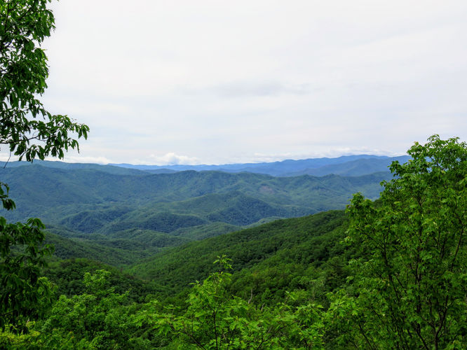 Picture 17 of Shuckstack Lookout Tower Hike