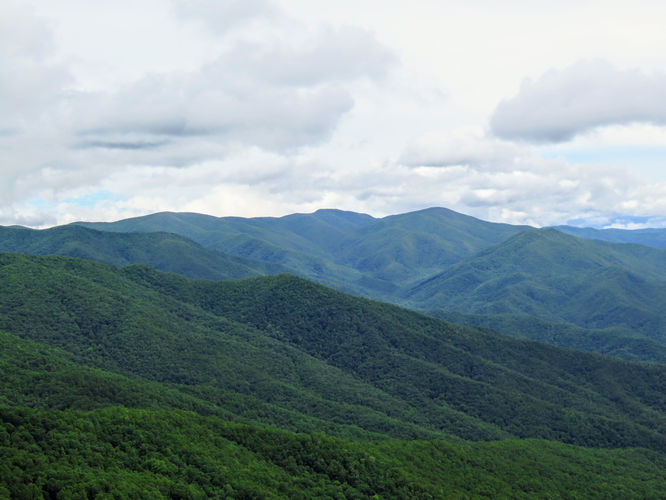 Picture 13 of Shuckstack Lookout Tower Hike