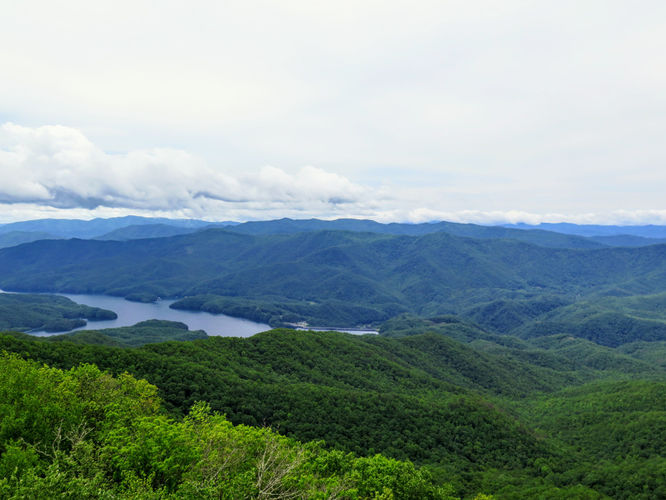 Picture 12 of Shuckstack Lookout Tower Hike