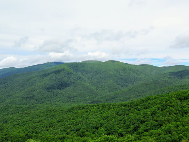 Picture 11 of Shuckstack Lookout Tower Hike