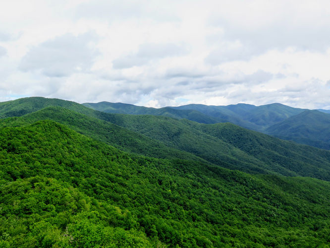 Picture 10 of Shuckstack Lookout Tower Hike