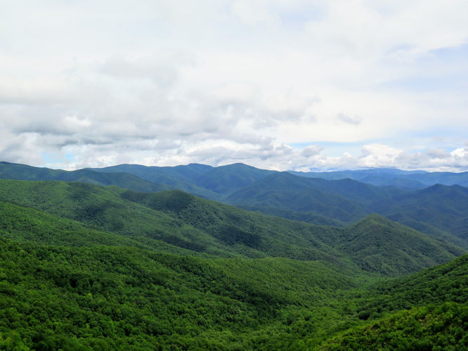 Picture 8 of Shuckstack Lookout Tower Hike