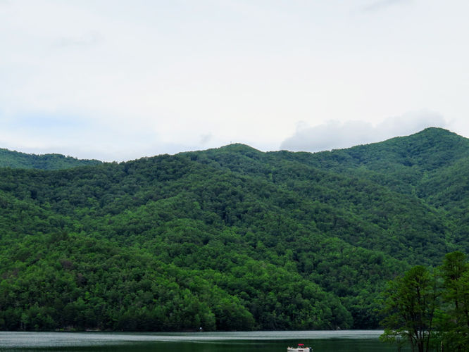 Picture 4 of Shuckstack Lookout Tower Hike