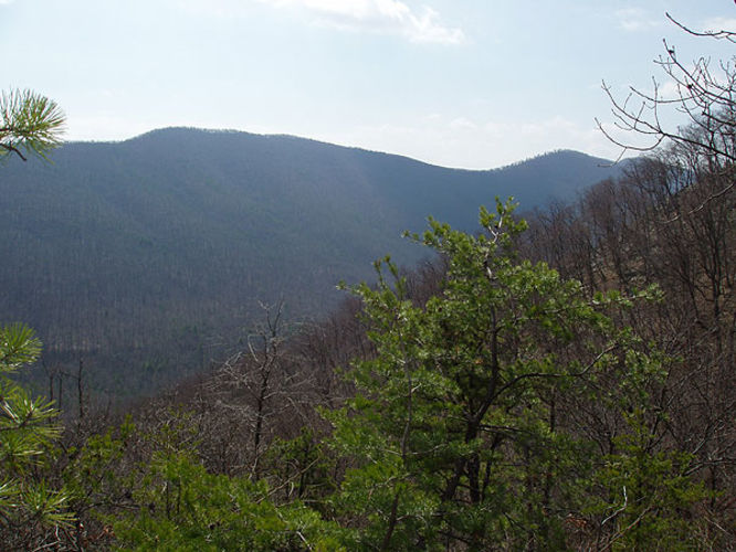 Picture 24 of Signal Knob Hike 032203