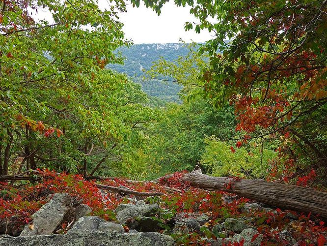 Picture 17 of Signal Knob Hike 092217