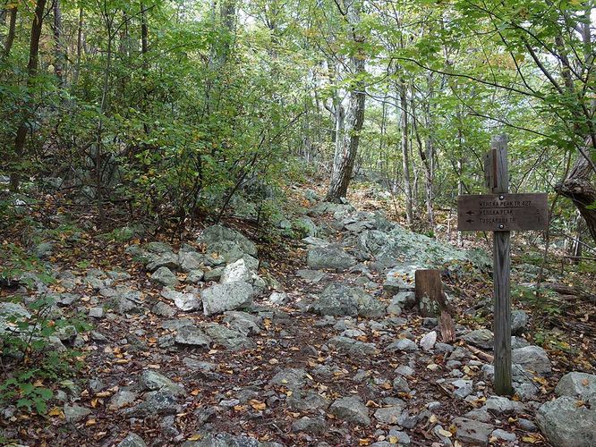 Picture 13 of Signal Knob Hike 092217