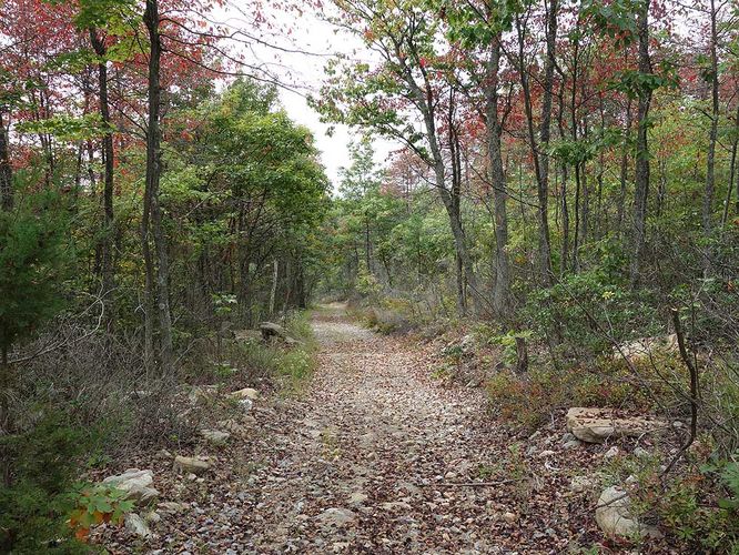 Picture 8 of Signal Knob Hike 092217