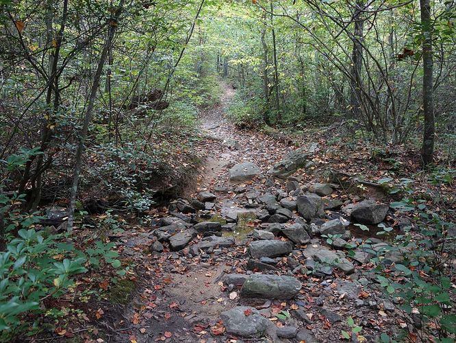 Picture 6 of Signal Knob Hike 092217