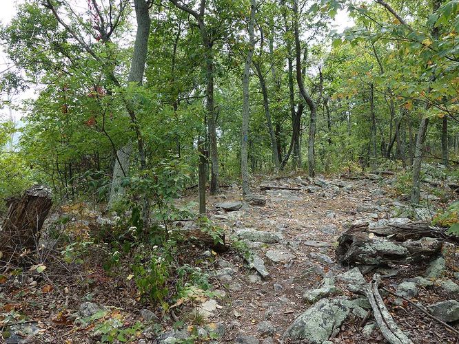 Picture 5 of Signal Knob Hike 092217