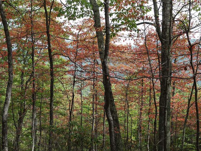 Picture 4 of Signal Knob Hike 092217