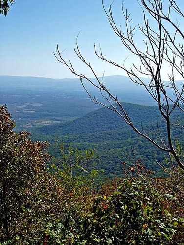 Signal Knob Hike - Signal Knob Hike 100105 album
