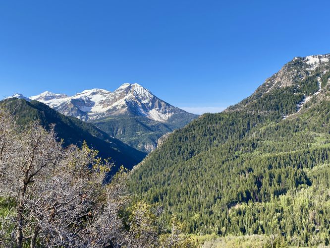 View of Mt. Timpanogos