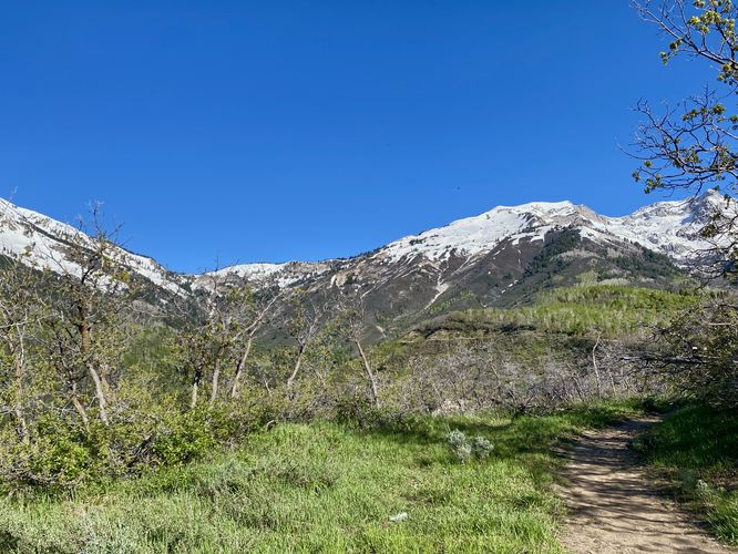 View of White Baldy mountain