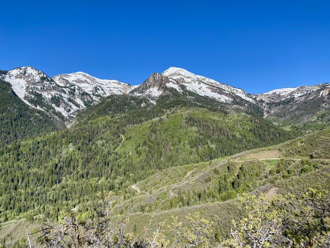View of Box Elder Peak