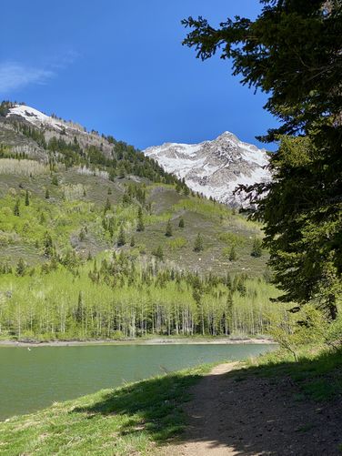 Trail view of White Baldy Mountain and Silver Lake Flat Reservoir