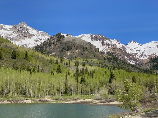 View of White Baldy Mountain and Silver Lake Flat Reservoir