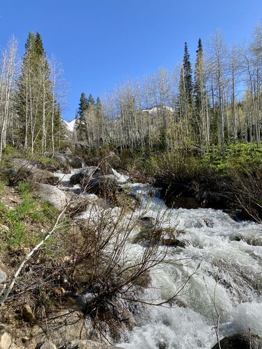 Rapids from snow melt cascade down Silver Creek
