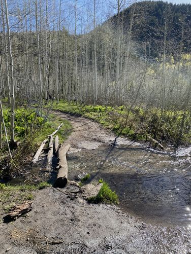 Easy creek crossing (even in late Spring snow melt)