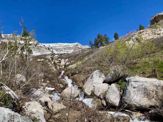 Upstream view with cascades along Silver Creek