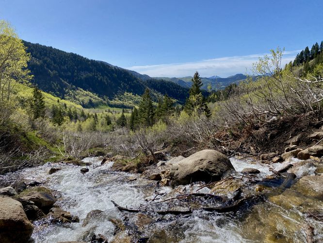 View down Silver Creek