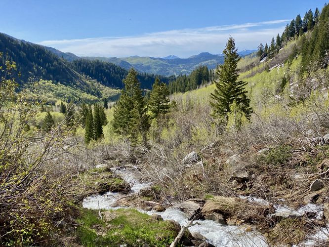 View into American Fork Canyon with Silver Creek in the foreground