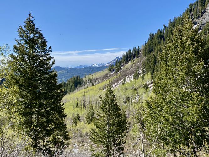 View into the mountains surrounding American Fork Canyon