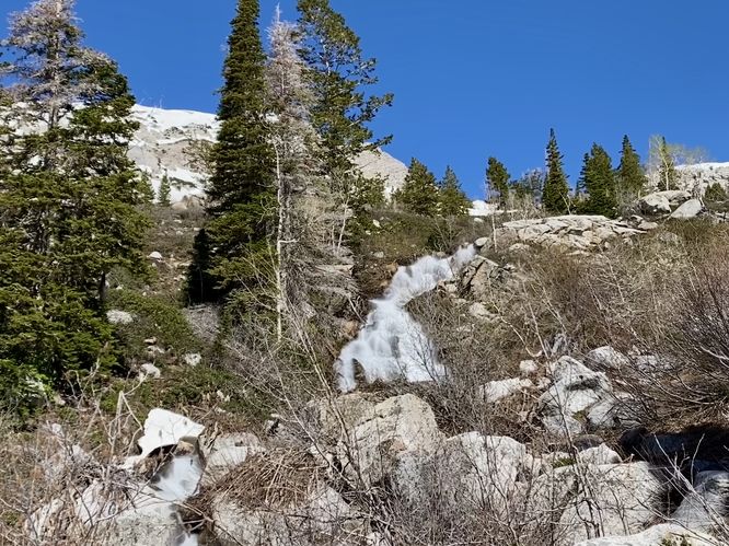 Lower Silver Creek Falls (approx. 30 feet tall)