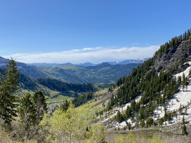 View into the mountains around American Fork Canyon from the Silver Lake Trail