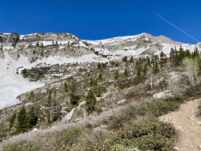 View of Lower Silver Creek Falls and the Silver Lake Trail